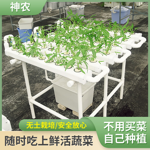 家庭学校阳台绿植塑料花架无土栽培水培设备平面种植床神农6槽