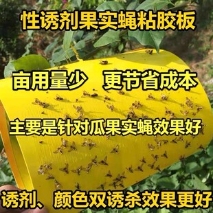 瓜果实蝇诱粘板针蜂贴果蝇诱捕器贴桔小实蝇粘虫板果园专用黏胶板