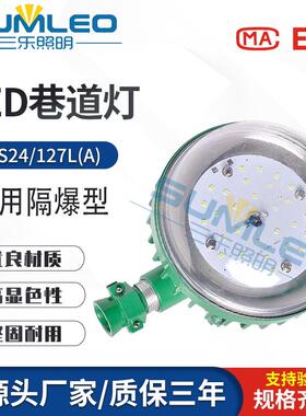 DJS24/127L(A)矿用隔爆型兼本安型LED巷道灯 矿用LED照明灯投光灯