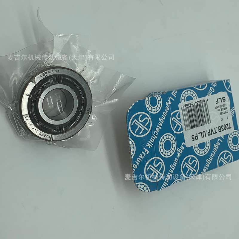 德国SLF高精密轴承分子泵陶瓷球轴承 HCA7304E.T.P4S.UL.J11.L207
