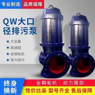 大流量排涝潜水泵无堵塞大口径排污泵污水提升泵300WQ自耦污水泵