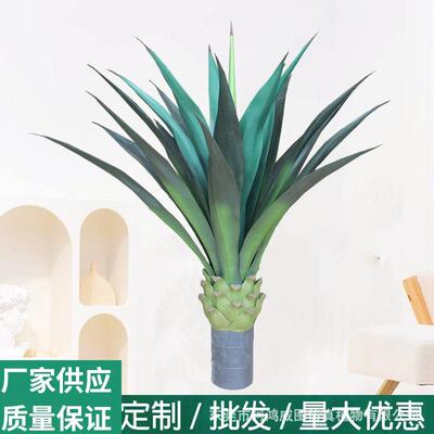 仿真剑麻植物龙舌兰盆栽客厅摆件橱窗装饰真绿植造景龙血树真