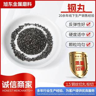 钢丝切丸切丸强化钢丸抛丸机钢砂钢结构耐磨打砂切口平整过筛