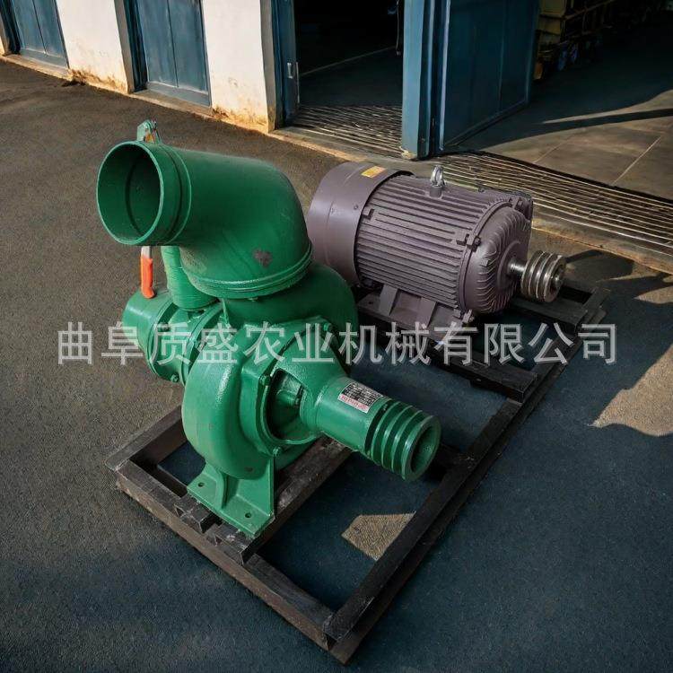 10寸排水泵污水自吸泵大马力抽水三相全铜电机框架抽水离心泵