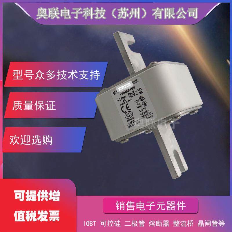 170M6058 /6059/6060/6061/6062/6063/6064 巴斯曼熔断器保险丝