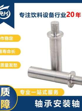 轴承安装轴 / MJAF.03.00-03