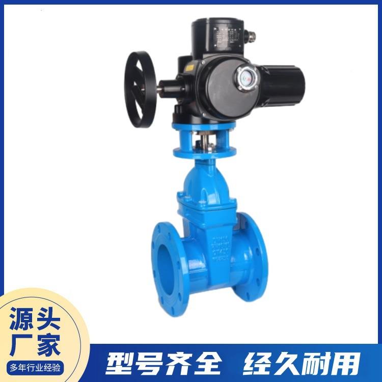 厂家大口径墨铸铁电动闸阀DN307160水0-DN80利工程管道防水防球尘