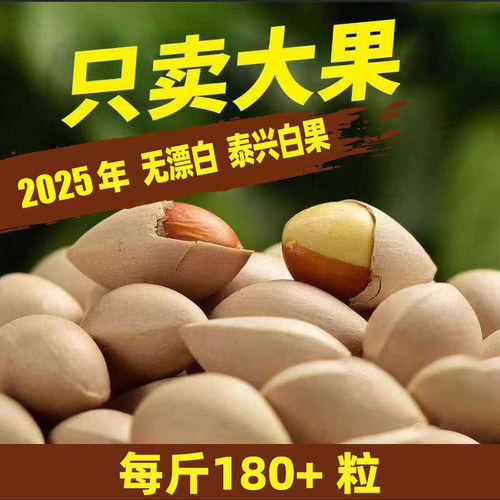 包邮手工挑选农家新鲜大白果泰州特产2025泰兴大佛指生白果银杏果