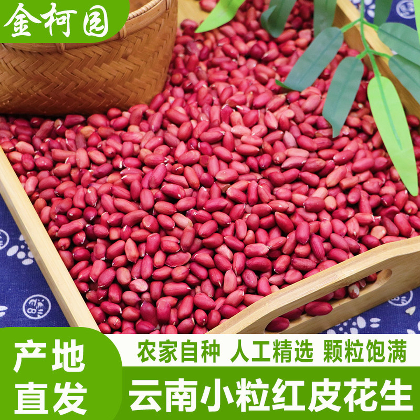 正宗云南小粒红皮花生米农家新四粒红衣花生新花生米生的新货无壳