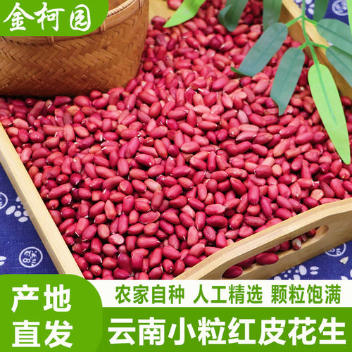 正宗云南小粒红皮花生米农家新四粒红衣花生新花生米生的新货无壳