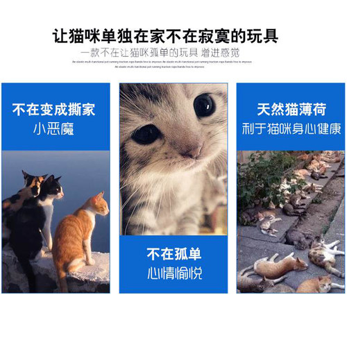 猫玩具鱼逗猫神器毛绒猫咬薄荷鱼抱枕猫咪自嗨磨牙鲤鱼耐咬啃咬