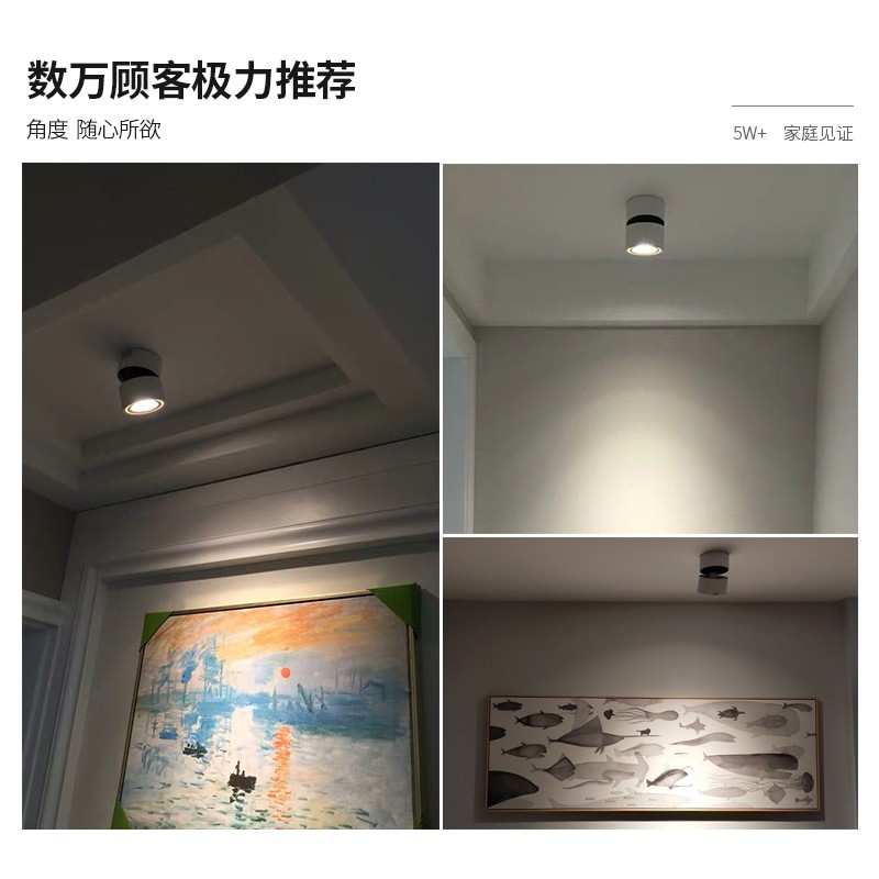明装射灯可调角度照画灯走廊过道玄关灯黑色白色吸顶筒灯背景灯