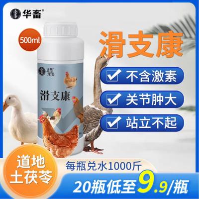 华畜滑支康滑g支净鸡瘫软腿瘸鸡液囊炎鸭鹅支原体关节肿大站不起