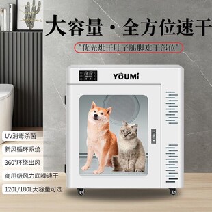 宠物烘干箱狗狗吹水机猫B咪洗澡烘干机家用中型商用