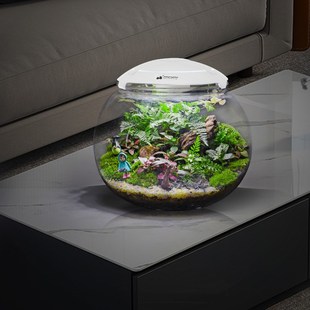 速发微景观苔藓植物造景生态瓶宠物C缸家用客厅桌面DIY.创意办公