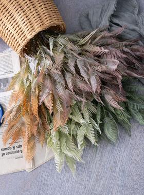 蕨I1NS风梦幻叶枝仿花厂真家假花绿植物婚庆装饰工艺品CL1CL16104