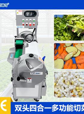能多功 净菜加DYV工双头切菜机型胡萝丝卜切丁 片 设备直大销