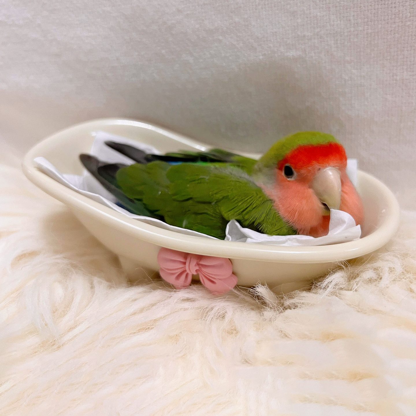 蝴蝶结鹦鹉窝四季通用外置窝玄凤虎皮牡丹睡觉窝小鸟窝造景用品