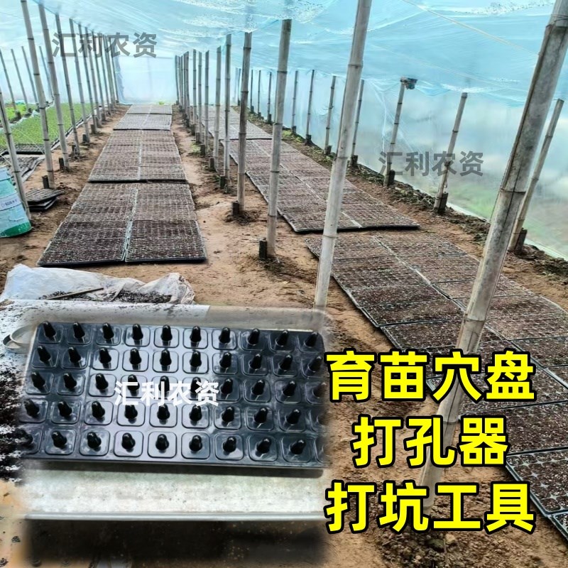 育苗播种神器播种植打孔器专用工具穴盘按压孔器泡沫漂浮盘蔬菜坑