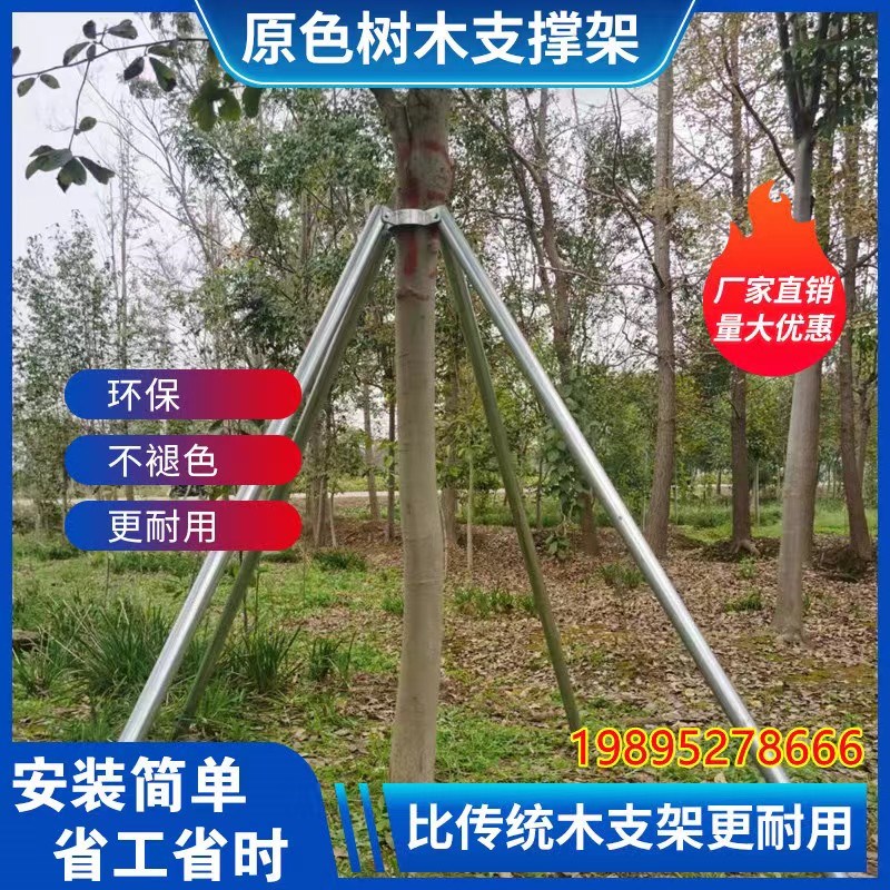 钢管树木支撑架树支撑固定器树木支撑杆树木固定支架大树支撑杆