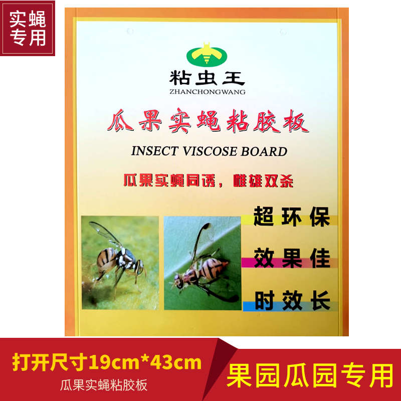 蝇板针球果板峰诱色诱实蝇绿色园黄专用瓜果板黄粘胶板粘虫瓜园虫