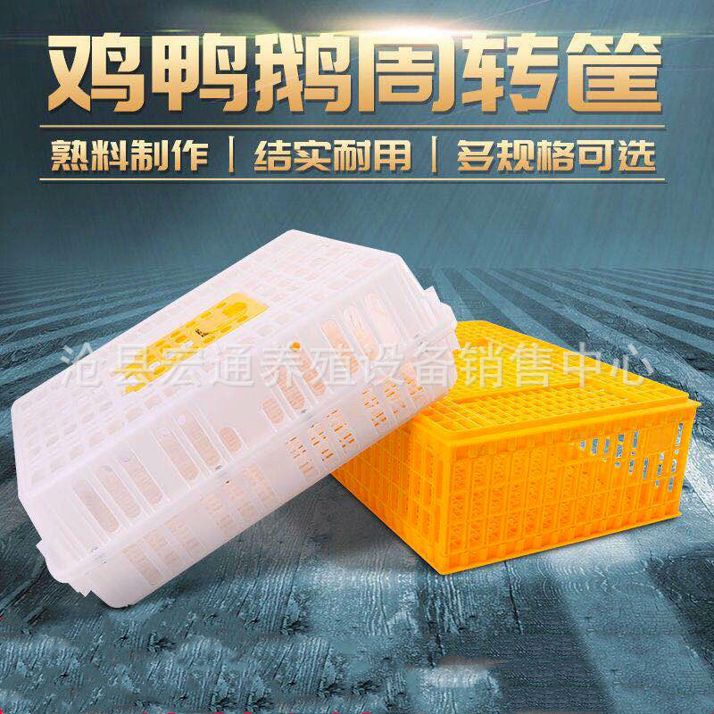 现货速发鸡笼周转箱塑料鸡笼x运输笼子成鸡鸭鹅家禽周转笼加厚鸽