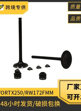 摩托车发动机气门适用RATO VORTX250 CPS250 RBT250 RW172FMM油封