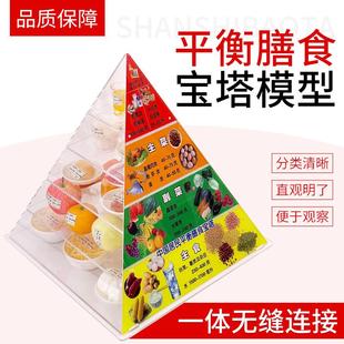 2022中国居民平衡营养指导膳食宝塔模型仿真食物金字塔交换份模型