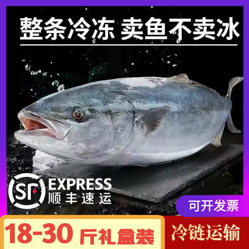 山东黄金鲅鱼工厂发货