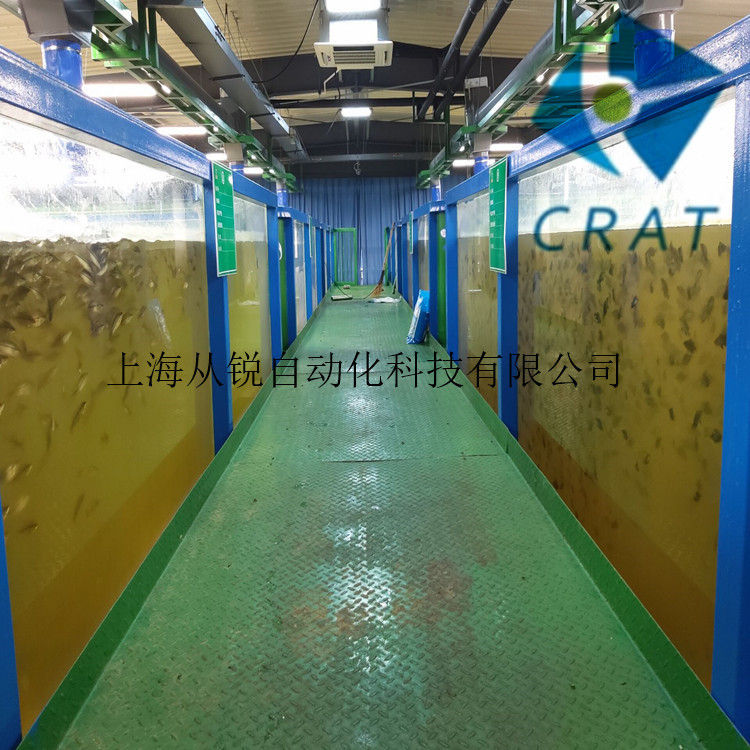 上海从锐工厂化循环水养殖设备/波斯顿龙虾工厂化养殖系统设计