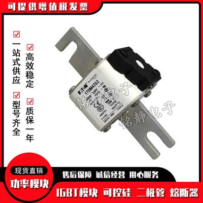 170M4608170M4609170M4610170M4611170M4612熔断器170M4613