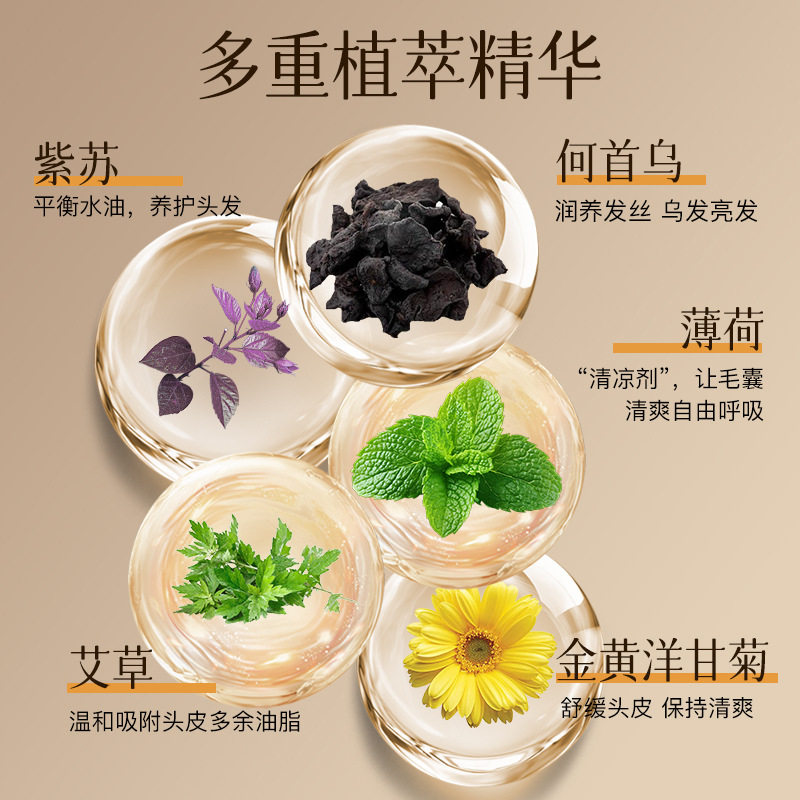 多肽美发笔遮白发补色师