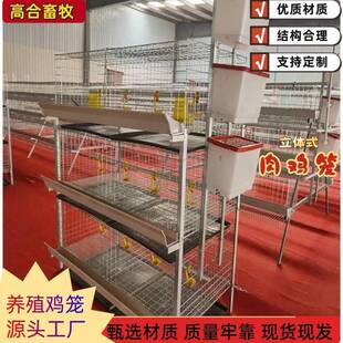 立式肉鸡笼 H型框架笼 鸡窝养鸡场专用镀锌工艺层叠式可直供外贸