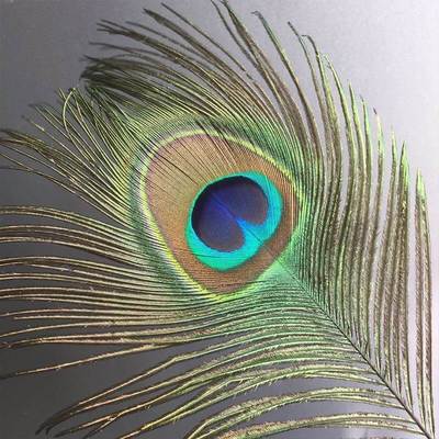 极速孔雀毛真羽毛家里摆设的装饰品客厅摆件O大件插孔雀毛羽毛的
