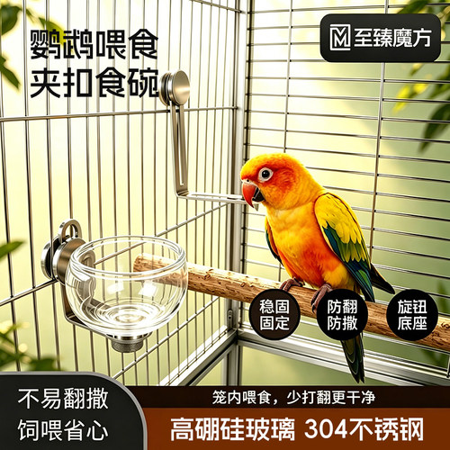 鹦鹉喂食器食盒玻璃食碗