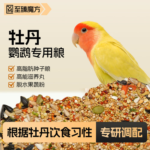 鹦鹉鸟粮牡丹专用粮滋养丸