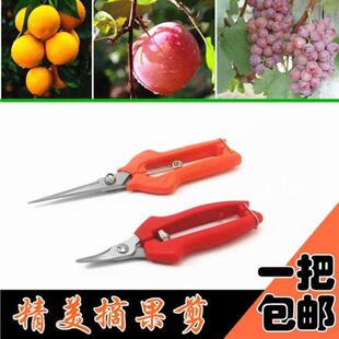 极速摘果剪修理h桔子剪剪子摘水果剪刀小剪刀剪技嫩芽剪蔬菜花园