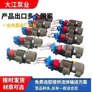 齿轮油泵不锈钢50口径齿轮油泵高温铸铁材质现货KCB增压燃油