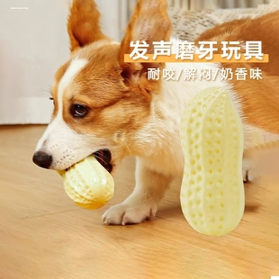 柴犬专用玩具套装耐咬发声球宠物狗磨牙玩具小型犬幼犬成犬解闷