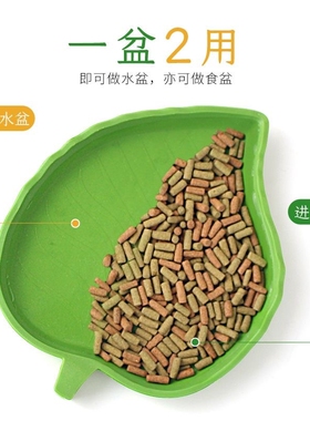 爬宠角蛙守宫食盆爬虫水盆陆龟蛇宠物食盘水盘绿色生态仿真树叶型