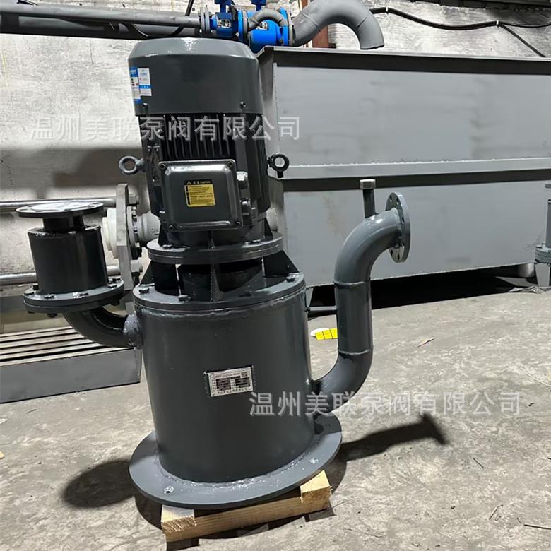 100WFB-F1无密封自控自吸泵 高扬程立式自吸泵现货