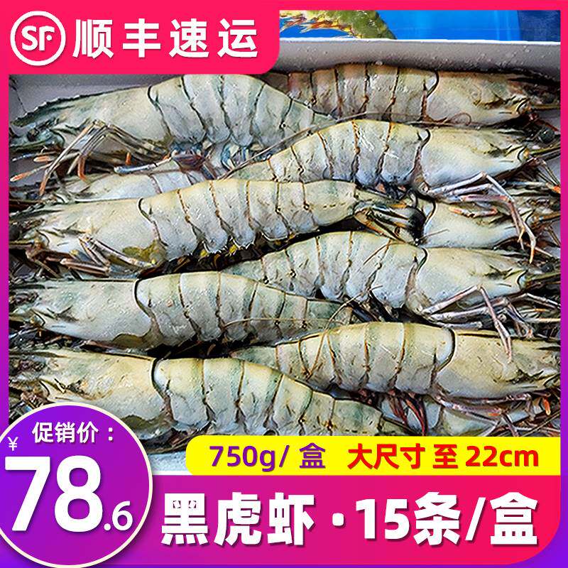 黑虎虾超大鲜活海虾冷冻老虎虾南海湾新鲜大虾水产深海捕捞顺丰