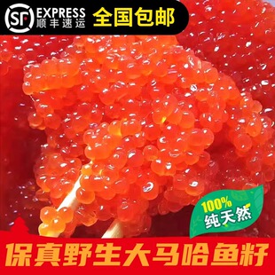 保真大马哈鱼籽酱 大颗粒纯鱼籽非合成淡盐鱼子酱 黑龙江抚远特产