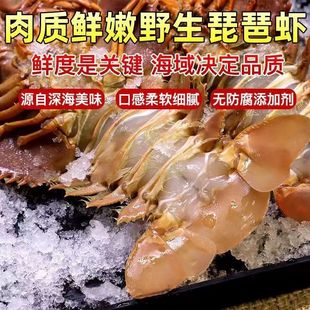 琵琶虾新鲜鲜活海鲜特大九齿扇虾野生琵琶虾海捕大虾海虾冷冻海鲜