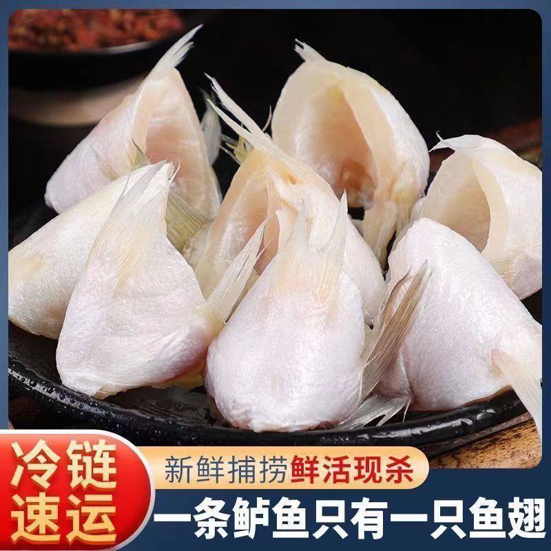 新鲜鲈鱼刺翅鲜切速冻鲈鱼鳍翅