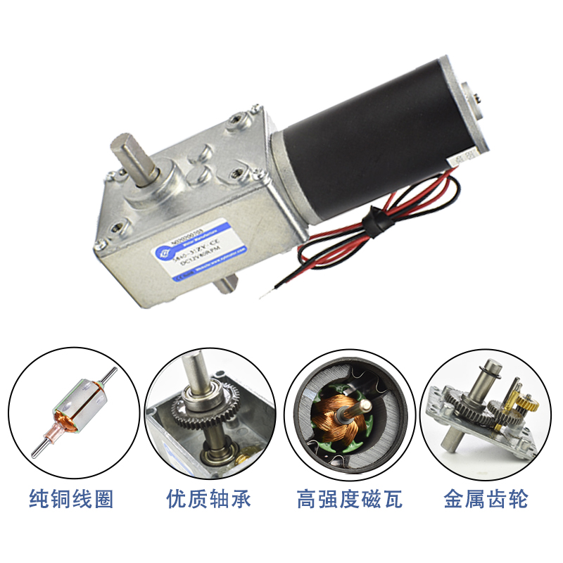 5840-31ZYS微型涡轮蜗杆直流减速电机 低速调速小马达12v24v双轴