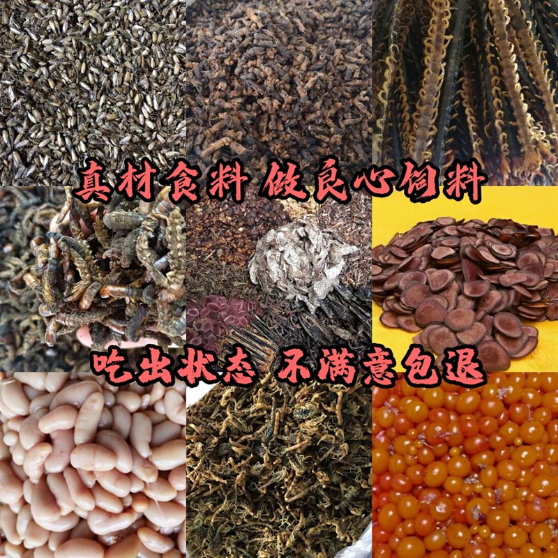 98画眉鸟食斗鸟熟鸟唱鸟营养长膘增强体力亮毛收身提高打斗爆发力