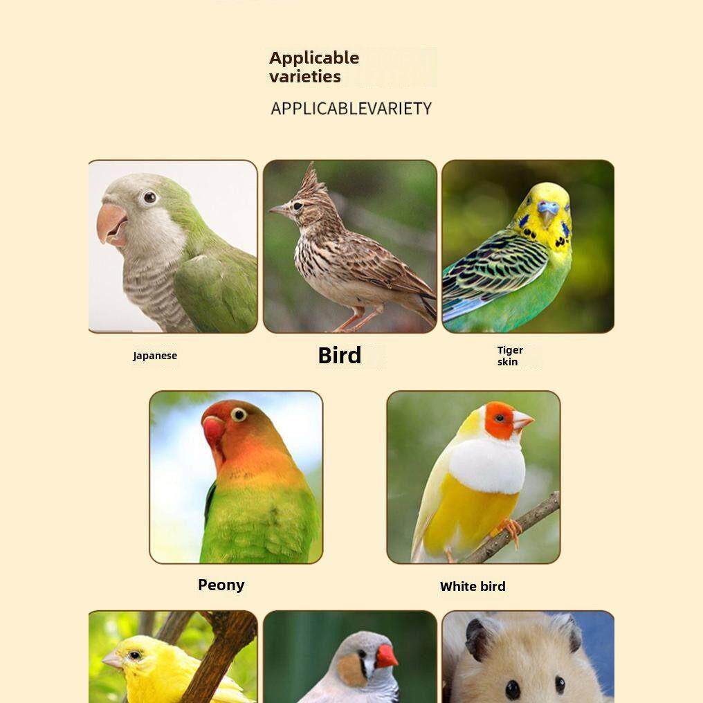 黑珍珠小瓜子油葵花籽鹦鹉鸟食仓鼠鸟食鸽食产地麻籽新食品