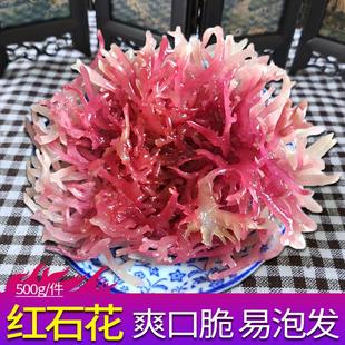 新晒石花菜500g血珊瑚海燕窝海石花鹿角菜龙角菜龙须菜干 干货红