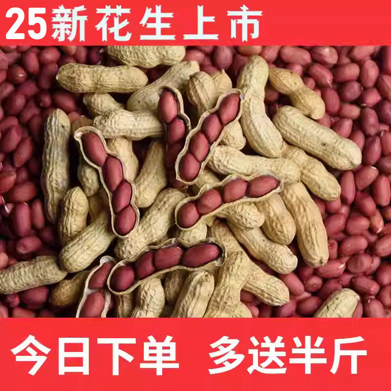 小孟 红皮花生2025新货米衣炒货生花生带壳新鲜晒乾生的原味